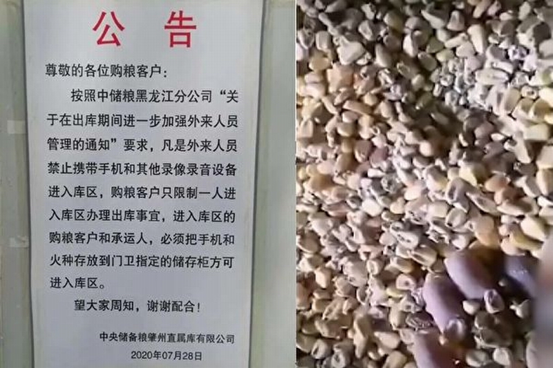 2-600x400.jpg 2-600x400.jpg