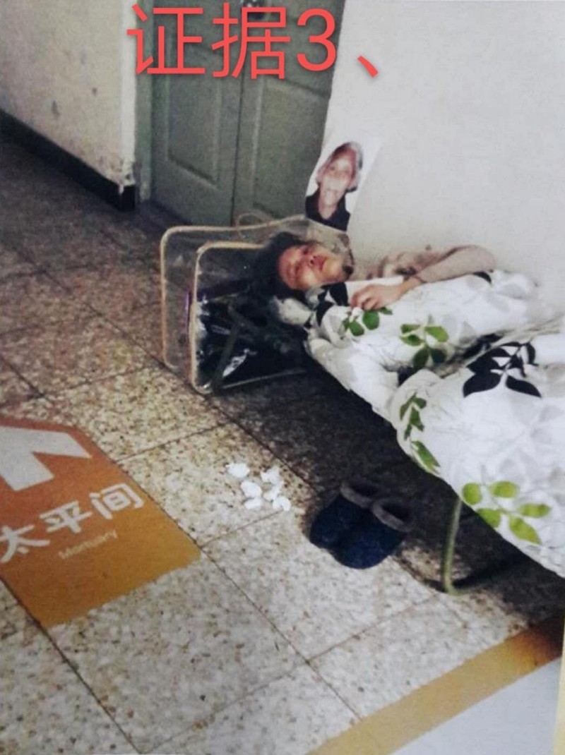 S__2359311.jpg S__2359311.jpg