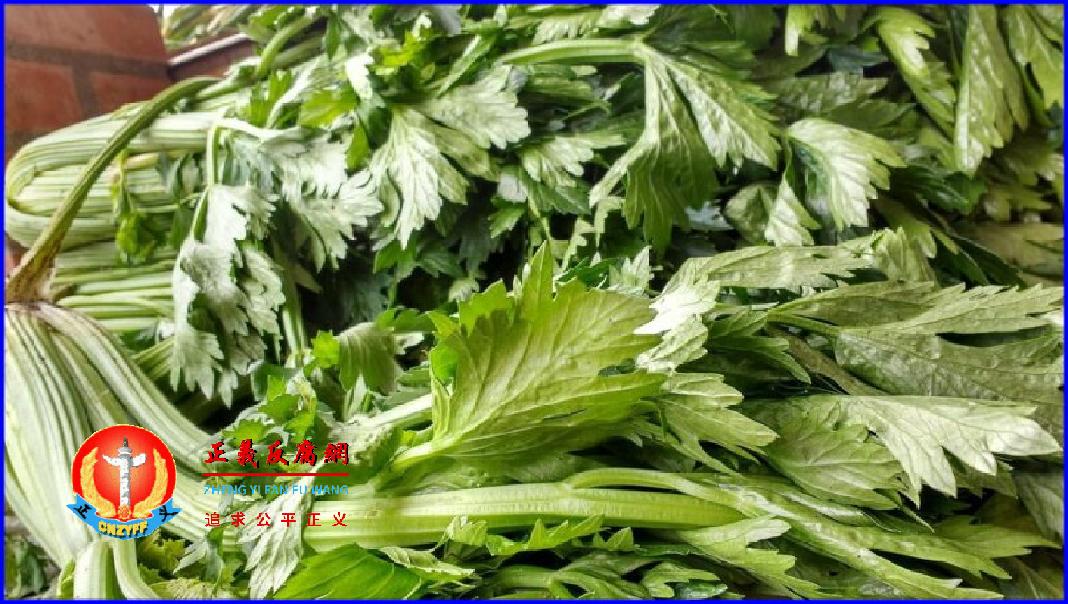 近年来,市场监管部门藉罚款搞创收,备受舆论诟病。芹菜意示图。.png 近年来,市场监管部门藉罚款搞创收,备受舆论诟病。芹菜意示图。.png