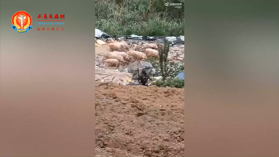 拆除后的养殖场.png 拆除后的养殖场.png