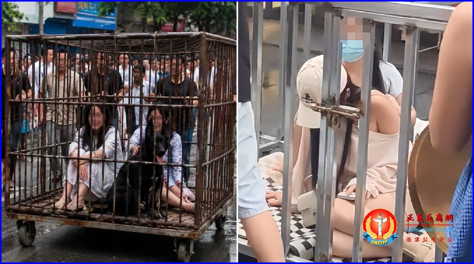 湖南汨罗街头，两名女子和一只黑狗被关在铁笼中游街。.jpg